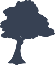 Windy Oak Tree Sticker
