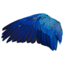 Wing Of Blue And Gold Macaw Parrot Sticker