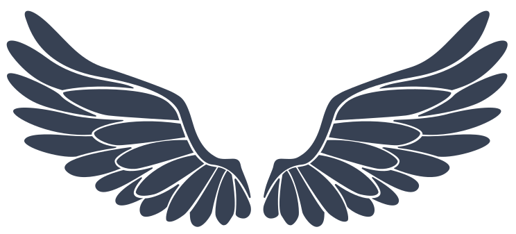 Wings - Angel Or Bird Sticker