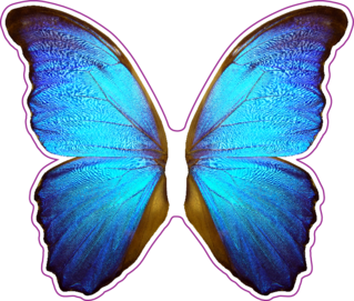 Wings Of A Blue Butterfly Sticker