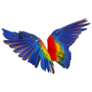 Wings Of Macaw Parrot Sticker