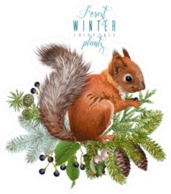 Winter Forest Branches And Squirrel Sticker