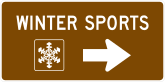 Winter Sports Sticker