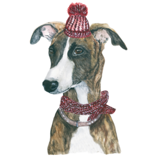 Winter Whippet Sticker