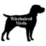 Wirehaired Vizsla Dog Sticker