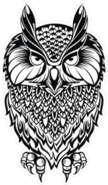 Wise Old Owl Illustration Sticker
