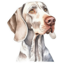 Wise Weimaraner Sticker
