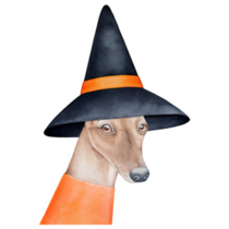 Witch Whippet Sticker