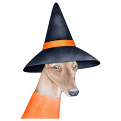 Witch Whippet Sticker