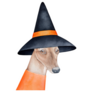 Witch Whippet Sticker