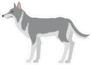 Wolf Cartoon Character Sticker