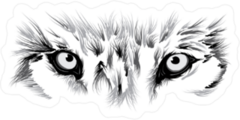 Wolf Eyes Sticker