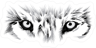 Wolf Eyes Sticker