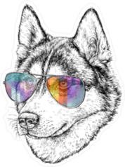 Wolf in Aviator Sunglasses Sticker