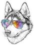 Wolf in Aviator Sunglasses Sticker