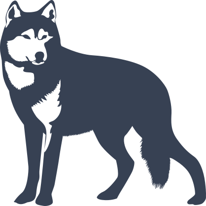 Wolf Loooking Sticker