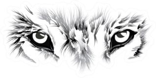 Wolfs Face Close Up Illustration Sticker