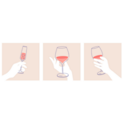 Woman’s Hand Holding Glass Of White, Red And Sparkling Wine Sticker