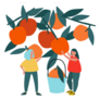 Women Picking Oranges Gardening Illustration Sticker