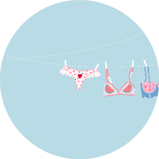 Womens Laundry Strung On A Line Drying Illustration Sticker
