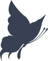 Wonderful Butterfly Sticker