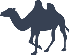 Wondering Camel Sticker