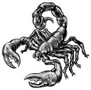 Woodblock Style Scorpion Sticker