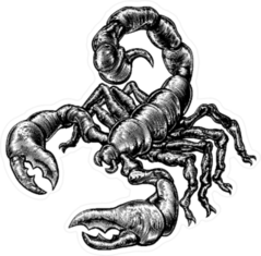 Woodblock Style Scorpion Sticker