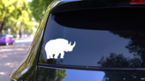 Woolly Rhinoceros Dinosaur Sticker on a Rear Car Window (New) example
