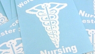 Worcester State Nursing Custom Cut-Out Stickers