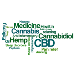 Word Cloud Cbd Marijuana Sticker