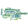 Word Cloud Cbd Marijuana Sticker