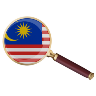 World Countries Malaysia Flag In Magnifier Lens Sticker