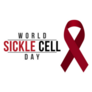 World Sickle Cell Day Worldwide Sticker
