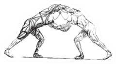 Wrestling Coach Two Stylized Athletes Sketch Sticker