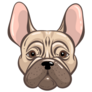 Wrinkle French Bulldog Sticker