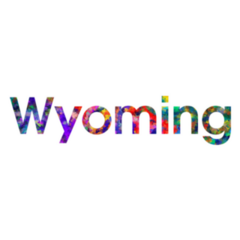 Wyoming Colorful Illustration Text Sticker