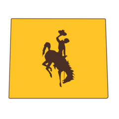Wyoming Cowboys NCAA Logo Sticker