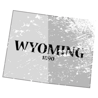 Wyoming State Outline With The Date Of Statehood Sticker