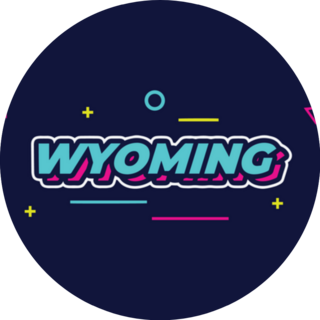 Wyoming Video Game Typography Sticker