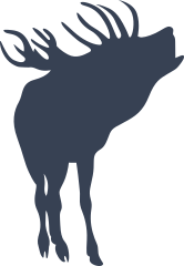 Yelling Moose Sticker