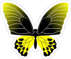 Yellow And Black Butterfly Sticker