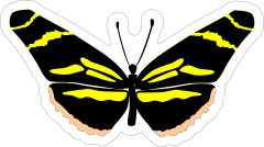 Yellow and Black Butterfly Stickers and Decals