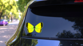Yellow and Green Butterfly Sticker on a Rear Car Window (New) example
