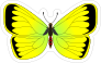 Yellow and Green Butterfly Sticker