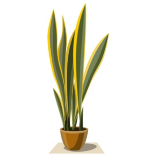 Yellow and Green Indoor Snake Plant Sticker