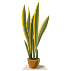 Yellow and Green Indoor Snake Plant Sticker
