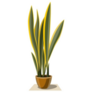 Yellow and Green Indoor Snake Plant Sticker