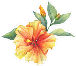 Yellow and Red Hibiscus Flower Sticker