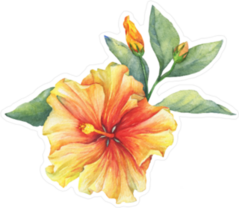 Yellow and Red Hibiscus Flower Sticker